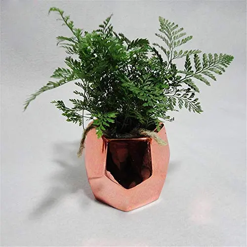 Nordic Chic Roségold Keramik Aufbewahrungsgläser Tank Minimalist Platinierte Stil Sonntüten Organizer Blumenvase Schreibtisch Aufbewahrungsdose für Zuhause | von HUDITOOLS | 1 Stück