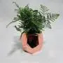 Nordic Chic Roségold Keramik Aufbewahrungsgläser Tank Minimalist Platinierte Stil Sonntüten Organizer Blumenvase Schreibtisch Aufbewahrungsdose für Zuhause | von HUDITOOLS | 1 Stück