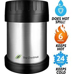 Soup Thermos - Food Jar for Hot Food 10 oz - Non-Insulated Small Stainless Steel Thermo Lunch Box - Small Travel Vacuum Metal Container - Food Flask Wide Mouth