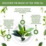 Keevas Original Tea Tree Oil Acne Treatment Cream. Best Extra Strong Fast Acting Formula for Clearing Severe Acne From Face and Body, Gentle Enough for Sensitive Skin, Cystic & Hormonal Bacne(0.5oz)