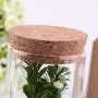 CloverUS 350ml Klar Glasflasche mit Verschluss für Bohnen, Teebeutel, Aufbewahrungskaraffe