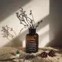 Glas Aufbewahrungsbehälter - Moderner Minimalistischer Chic Glasbehälter Skandinavisch Nordisch Vogue Braune Schreibtischaufbewahrung Flaschenorganizer Blumenbehälter Dekoration