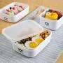 Plastik Schüssel mit Deckeln, Lunchboxen für Bento, mikrowellengeeignet/spülmaschinenfest/eisboxen, ideal zur Aufbewahrung von Lebensmitteln im Küchenschrank (Weiß, 700ml)