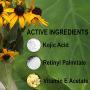 Cape Fear Naturals - Kojic Acid Cream - Natural Skin Lightener, Even Skin Tones - 2oz jar, 4% Kojic Acid