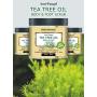 100% Natural Anti Fungal Tea Tree Oil Body & Foot Scrub with Dead Sea Salt - Best for Acne, Dandruff and Warts, Helps with Corns, Calluses, Athlete foot, Jock Itch & Body Odor