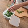 Green Onion Crisper，Fruit Green Onion Preservation Box Garlic Refrigerator Portable Plastic Fruit and Vegetable Container, Refrigerator Storage (gray)