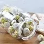 Glass Sealed Jars, Kitchen Household Grain Storage Tanks, Storage Flour/Walnut/Oatmeal/Rice Glass Sealed Jars, Kitchen Household Grain Storage Tanks, Storage Flour/Walnut/Oatmeal/Rice