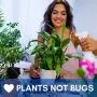 Électrociel d'intérieur Eon Luxe - Piège à Moustiques et Mouches D’Argent – Sans Électrocution – Piège pour Moustiques, Mouches d'Argent, Gnats, Mouches à Odeur – Piège à Insectes pour Cuisine Intérieure Électrociel d'intérieur Eon Luxe - Piège à Moustiques et Mouches D’Argent – Sans Électrocution – Piège pour Moustiques, Mouches d'Argent, Gnats, Mouches à Odeur – Piège à Insectes pour Cuisine Intérieure
