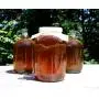 Two 1-Gallon Glass Kombucha Jars w/Cotton Cloth Covers & Plastic Lids for Storage after Brewing (2-Pack) Two 1-Gallon Glass Kombucha Jars w/Cotton Cloth Covers & Plastic Lids for Storage after Brewing (2-Pack)