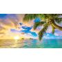 Hawaiian Healing Skin Care - Nourishing Night Oil to Stimulate Cellular Repair for Supple Skin - 30mL