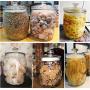 Glass Sealed Jars, Rice Boxes, Kitchen Household Grain Storage Tanks, Storage Of Spices/Coffee/Oatmeal/Kimchi