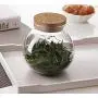 500 Ml (17 Fl Oz) Round Clear Glass Favor Jar Food Storage Container with Cork Lid Perfect for Cookie Candy Spice Tea Cereal Storage