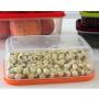 uirend Rectangular Crisper Boxes - 7PCS Storage Jars Rainbow Plastic Tubs Microwave Freezer Box Ideal for Lunches and Meal Prep