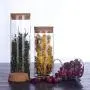 Jarre de Stockage Hermétique JY Collection, Verre avec Couvercle en Bambou Naturel, 450 ML, 500 ML, 650 ML, 700 ML, 950 ML (Cork, 650ml)