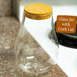 DR Goodies, Canister With Natural Cork Lid, Container For Storing Food In The Kitchen, Glass Jar Keeps Food Dry, Great For Storage Of Chocolate, Grains, Snacks, Nuts, Sugar, Coffee, Tea, Herbs