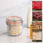 Argon Tableware Glass Storage Jar with Airtight Clip Lid - 350ml - Clear Seal