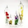 Transparente Glas Candy Jar Set – 4 Stück, Kreative Modedekoration für Hochzeit, Candy Buffet, Snack-Dried Fruit-Behälter zum Lagern