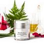 AveSeena | Ageless Perfection Cream | Natural Facial Cream for Sensitive, Oily or Dry Skin - For Women and Men (1.7 fl oz/50 ml Airless Jar).