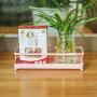 ZGXY Spice Rack Food Corner Storage Kitchen Container Organizer for Spices, Condiments, Baking Supplies-P