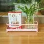 ZGXY Spice Rack Food Corner Storage Kitchen Container Organizer for Spices, Condiments, Baking Supplies-P ZGXY Spice Rack Food Corner Storage Kitchen Container Organizer for Spices, Condiments, Baking Supplies-P