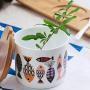 Porcelain condiment jar,Small spice jars Ceramic seasoning pot Ceramic food storage jar Ceramic sugar jar-A