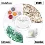 SumDirect 50Pcs 10G/10ML Clear Plastic Cosmetic Containers with Lids, Sample Jars, Makeup Sample Containers for Cream Lotion with Pressure Sensitive Films