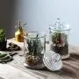 44OZ Glas Apothekerglas-Set mit 5 x 8,8 Zoll Glasbehälter-Set mit Kugellidschluss, 2-teilig