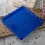 Carlisle 1074260 StorPlus Square Container Lid, 12/18/22 qt, Royal Blue