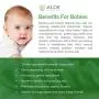 Aloe Infusion Körper- und Gesichtsfeuchtigkeitscreme – Natürliche Creme für Ekzeme bei Juckreiz und Trockenheit, Sensible Haut, Akne und Psoriasis – Bio Aloe Vera, Sheabutter, Coenzym Q10, Traubenkernöl, Kokosnussöl
