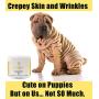 Tighten Up Crepey Skin Total Body Moisturizing Cream