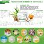 Wild Naturals Eczema Psoriasis Cream - for Dry, Irritated Skin, Itch Relief, Dermatitis, Rosacea, and Shingles. Natural 15-in-1 Formula Promotes Healing and Calms Redness, Rash and Itching Fast