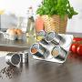 Magnetic Spice Tins Jars with Rack Stainless Steel,Clear Top,Shaker Lid,Set of 6