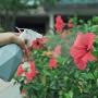 Runrar Plastic Spray Bottle, Watering Can, Plant Flower Succulent Watering Bottle, Plant Mister, Indoor Outdoor Planting Sprayer, Handheld Spray Bottles for Garden Plants 0.6L/20(Blue)