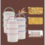 Kitchen Food Storage Jar Airtight Food Storage Lunch Box，Wheat Straw Plastic Lunch Box Microwave Fresh-Keeping Lunch Box Japanese Student Separation Seal Adult Lunch Box（Microwave Oven Not Available