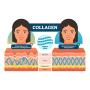Collagen Day/Night Cream by Sens8ate–Peptide Elastin Renewal to Face & Neck – Targets Wrinkles & Fine Lines - Enhancing Elasticity - Hyaluronic Acid & Vitamin C – Ultimate Anti-Aging Facelift