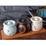 123Arts Ceramics Japanese Flower Sugar Bowl Seasoning Pot Salt Pepper Storage Jar Lid Wood Spoon