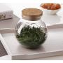 TOPWEL 500 Ml (17 Fl Oz) Round Clear Glass Favor Jar Storage Jar, with Cork Stopper