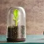 Xiaolanwelc@ 1pc Creative Tea Box Plastic Sealed tea Storage Chests with Green Bud Shape Spoon Well-sealed Airtight Kitchen Seasoning Box Xiaolanwelc@ 1pc Creative Tea Box Plastic Sealed tea Storage Chests with Green Bud Shape Spoon Well-sealed Airtight Kitchen Seasoning Box