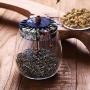 Yl Ly Glass Small Storage Jar Coffee Beans Dried Fruit Candy Snacks Grains Glass Jar 700Ml1100Ml Red 1100Ml