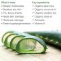 Pure Aloe Vera Treatment with Organic Coconut, Olive Oil & Vitamin E, 2 oz