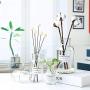 Transparent Glass Storage Jars Chic Dry Flower Vase Scandinavian Fresh Floral Container Desktop Decor Organizer Jar,250Ml Big Bouth