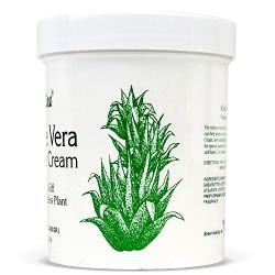 Jasmine Aloe Vera Massage Cream. Keep Your Face and Body Fresh and Soft with Anti-Aging Therapy Cream. Have Deeply Moisturized and Nutrition on Your Skin. Organic Aloe Vera Extract. [400 g / 14.1 Oz]