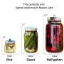 HomeKit Mason Jar Fermenting Lids 5-Pack Wasserlose, Fehlfests Silikon Fermentierungs-Belüftungsdeckel-Set + Edelstahl Bänder für Weitversiegelte Mason Gläser für Gemüse, Sauerkraut, Kimchi (Farbenfroh)