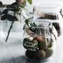 Unique Chic Nordic Glass Storage Jar Bottle With Leather Handle Minimalist Desk Storage Bottle Organizer Flower Vase Container Large Glass Storage Containers With Lids