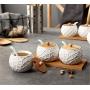 Mini Spice Jars Ceramic storage tank wood cover seasoning tank set combination household