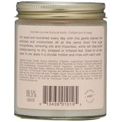 FarmHouse Fresh One Fine Day Flawless Face Polish, 6 Fl Oz