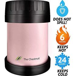 Small Thermos - Food Jar for Women, Men & Kids - Stainless Steel Thermo Lunch Box - Travel Metal Container - Hot Food, Soup (Baby-Pink)