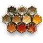 Gneiss Spice Small Empty Magnetic Spice Jars | Create a DIY Hanging Spice Rack on Your Fridge | Includes Hexagon Glass Jars, Magnetic Lids + Spice Labels (10 Small Jars, Silver Lids)