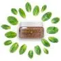 Emilia Fußpeeling mit Toten Meer Mineralien, natürliches Peeling-Bad zur Fußpflege zur Häuterkernentfernung für raue Sohlen und Fersen – Aprikose grit – Cremes Reinigung für zarte Füße – 5,2 Fl. Oz.