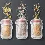 Bouteilles réutilisables pour conservation des aliments frais – 10 pièces. Bouteilles réutilisables pour conservation des aliments frais – 10 pièces.